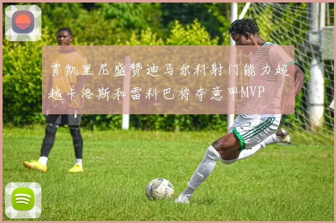 贾凯里尼盛赞迪马尔科射门能力超越卡洛斯和雷科巴将夺意甲MVP
